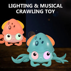 Baby Dancing Crab Toy