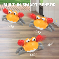 Baby Dancing Crab Toy