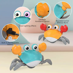 Baby Dancing Crab Toy