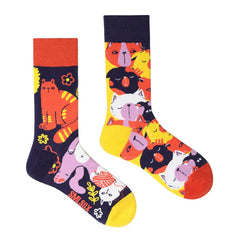 Colorful Cotton Socks