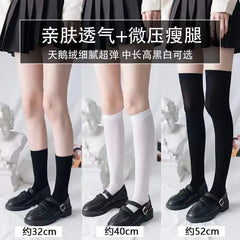 Women High Knee Socks