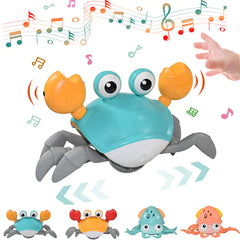 Baby Dancing Crab Toy